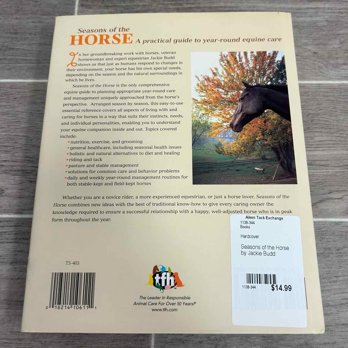 Seasons of the Horse by Jackie Budd