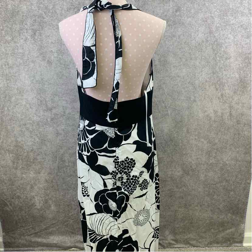 White House Black Market Dress, Women's 14