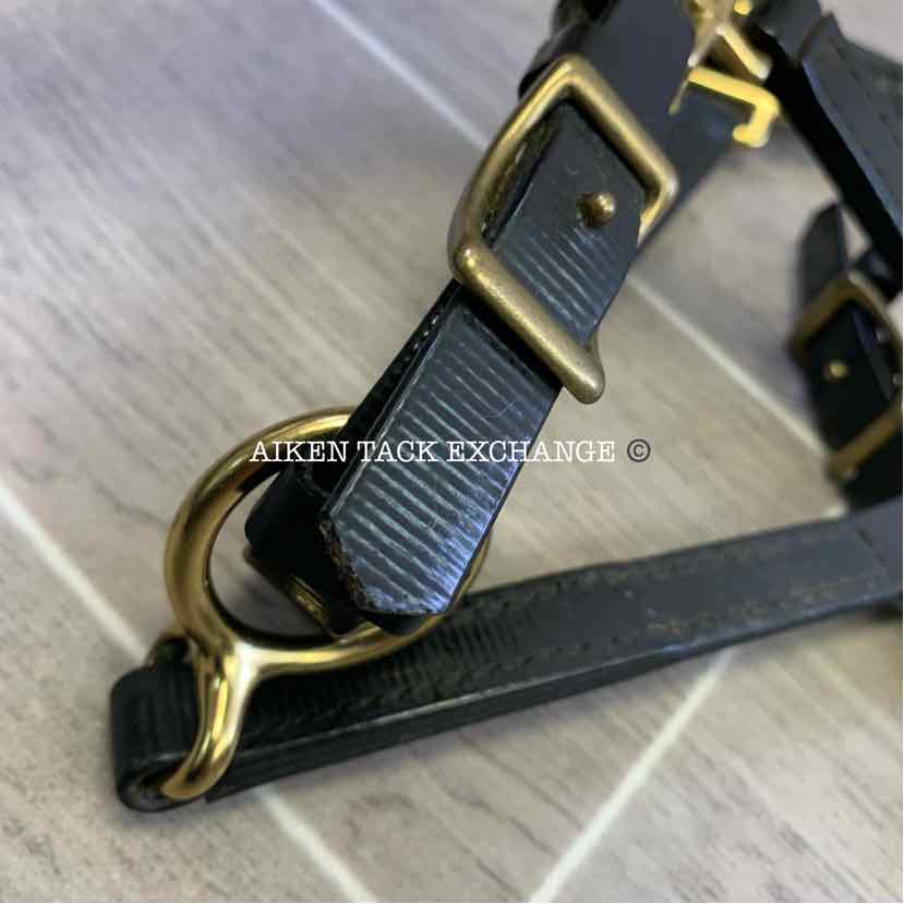 Zilco Marathon Endurance Bridle, No Reins, Size Full