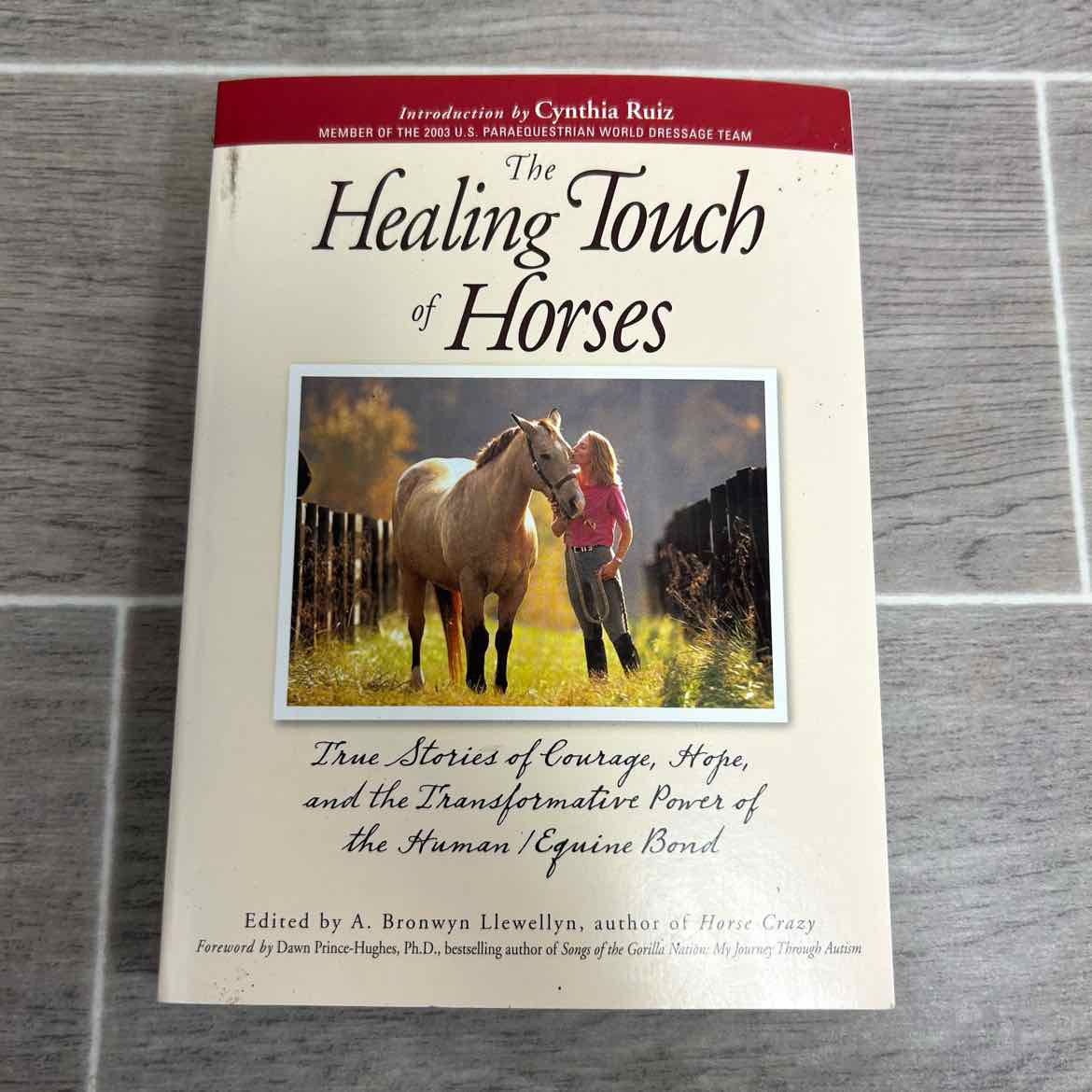 The Healing Touch of Horses by Cynthia Ruiz