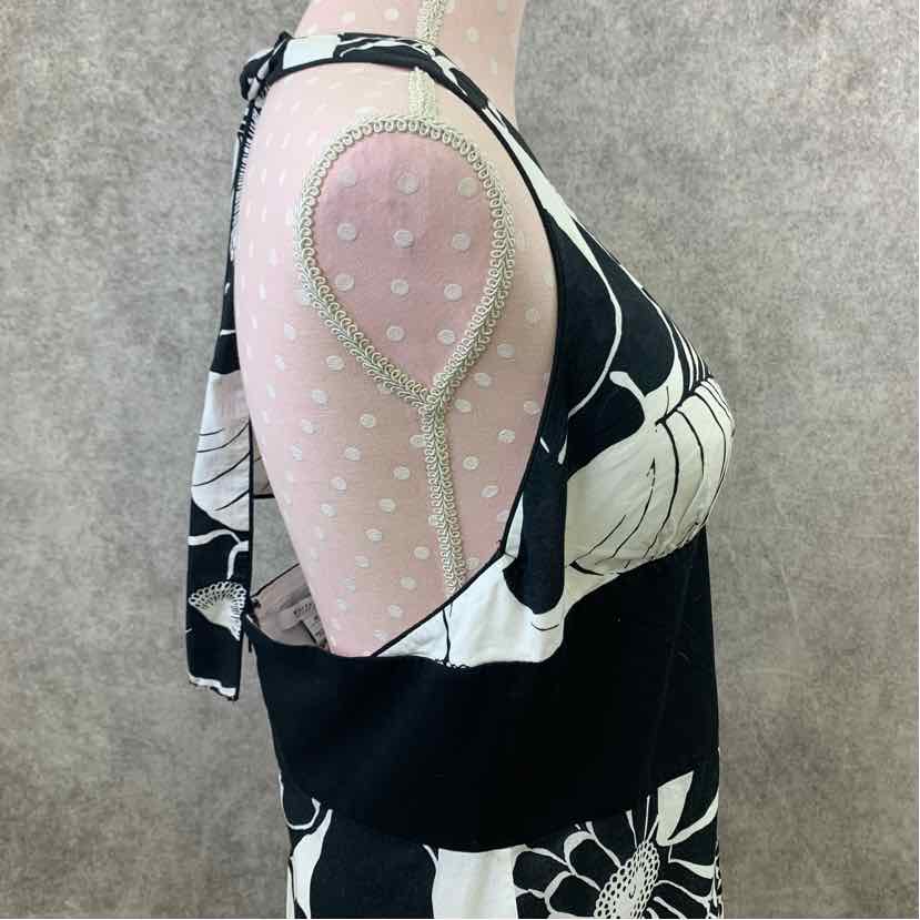 White House Black Market Dress, Women's 14