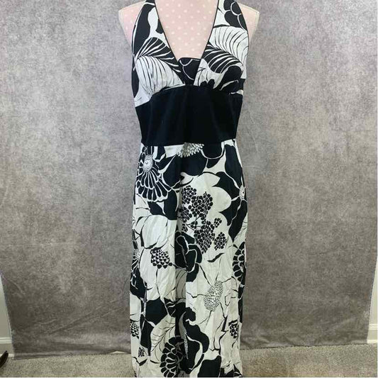 White House Black Market Dress, Women's 14