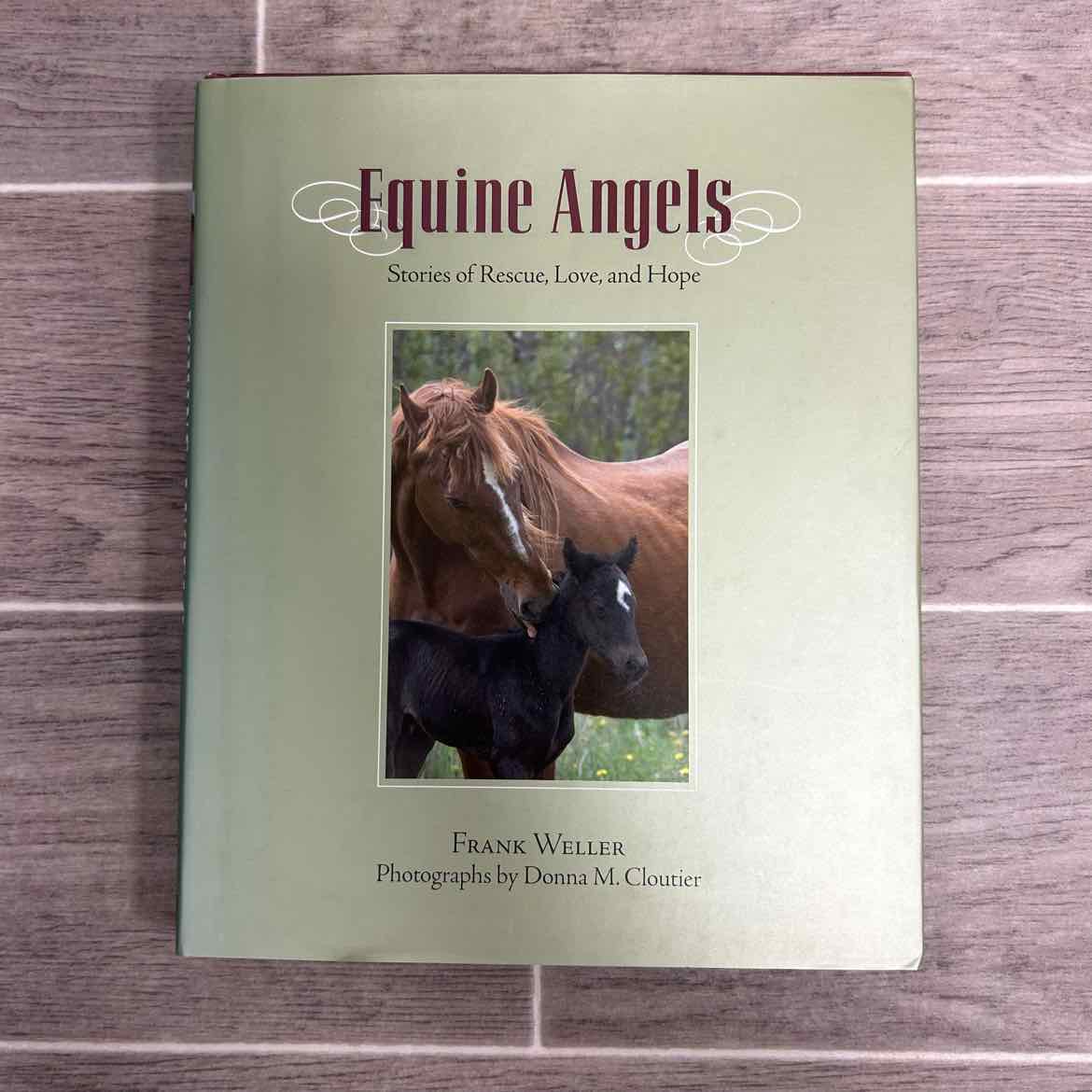Equine Angels Stories of Rescue, Love, & Hope by Frank Weller